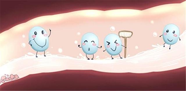 纽瑞优:乳铁蛋白和益生菌的区别?谁才是免疫力的最佳人选