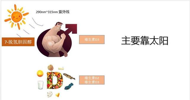 纽瑞优:合理膳食,给孩子一个健康童年