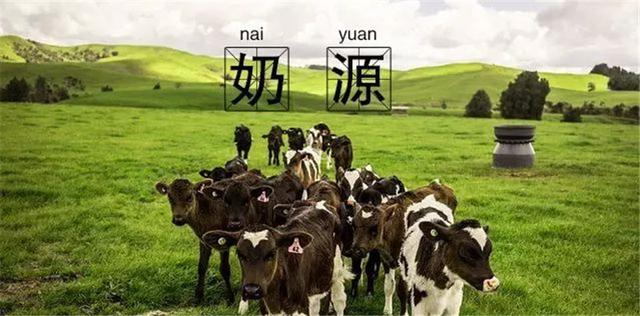 纽瑞优:都在说黄金奶源,究竟什么是黄金奶源,你选对了吗