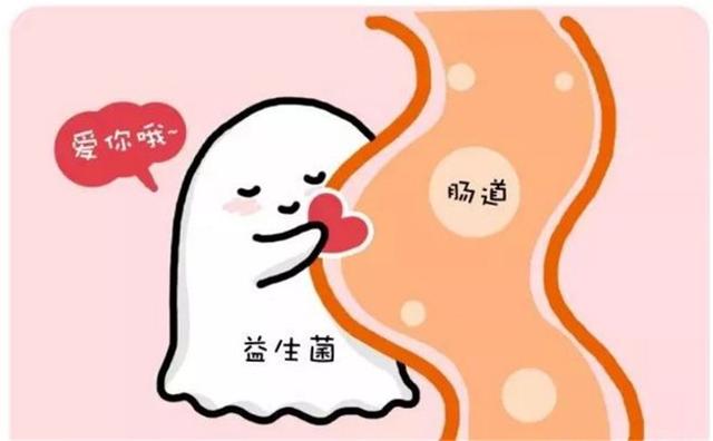 纽瑞优：喝酸奶就是补充益生菌？这么想你就错了